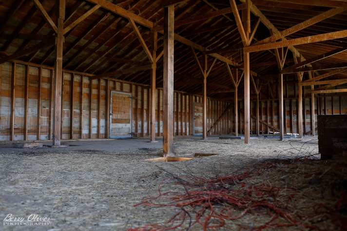 The Horse Barn's hayloft: the future home of our Western & Native American Library??